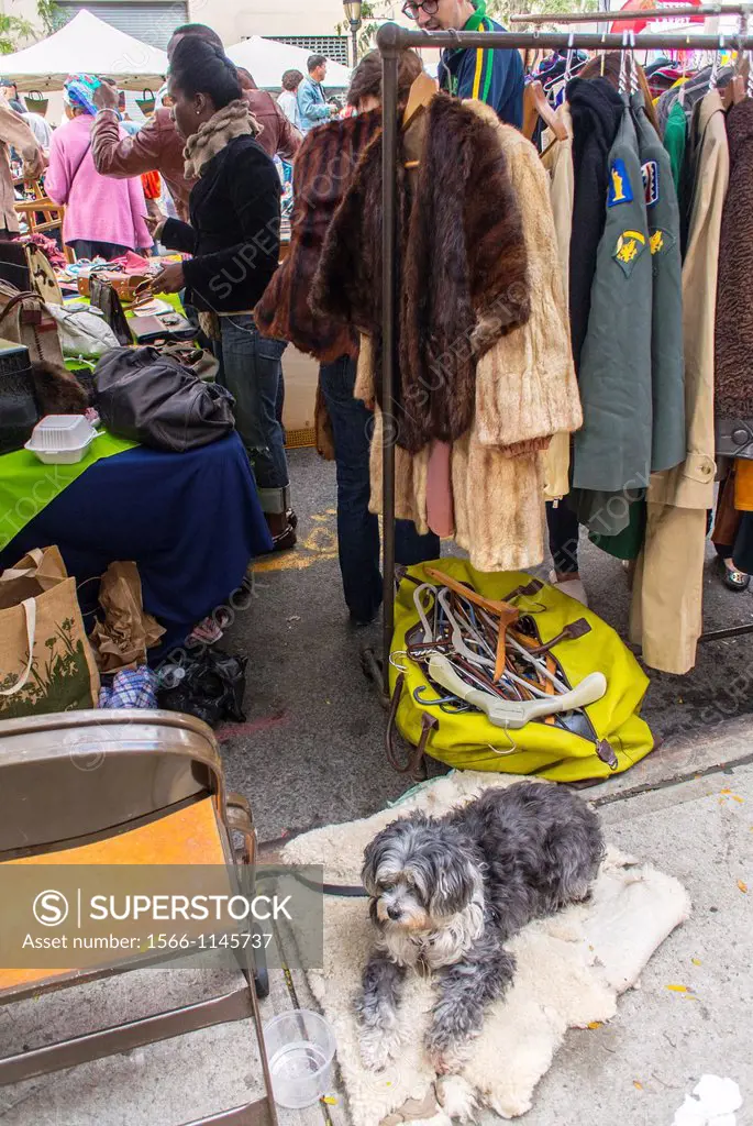 New York City, USA, People Shopping in VIntage Clothing Stall the Brooklyn Street Festival, ´Atlantic Antic´,