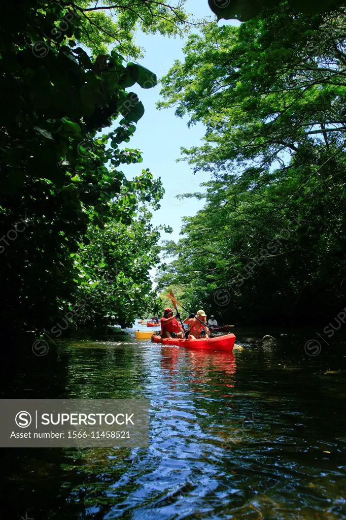 Kayaking, Huleia Stream, Nawiliwili, Kauai, Hawaii
