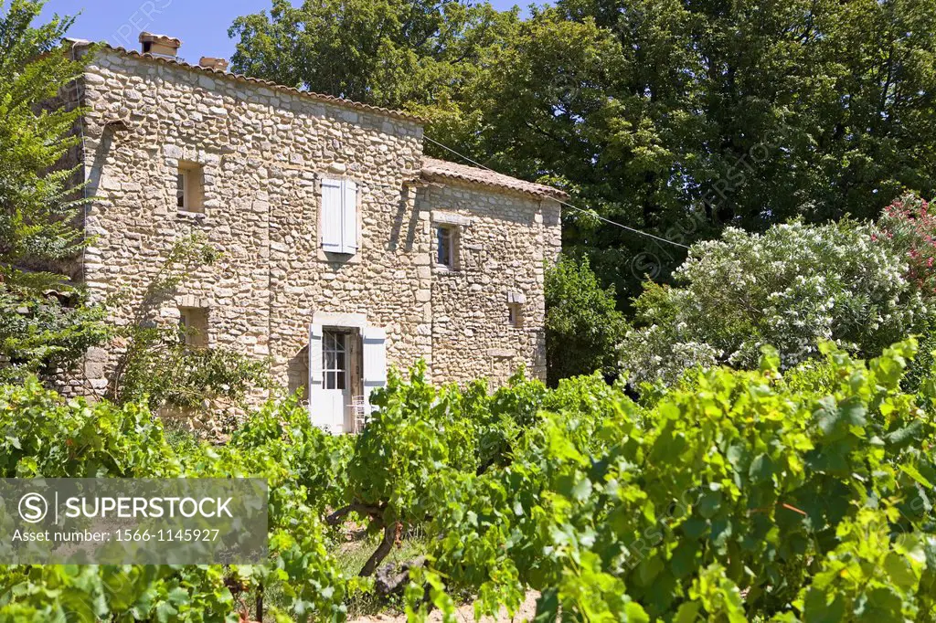 France, Provence, Drome, Tricastin,La baume de transit, Domaine Saint Luc, winery and guests house