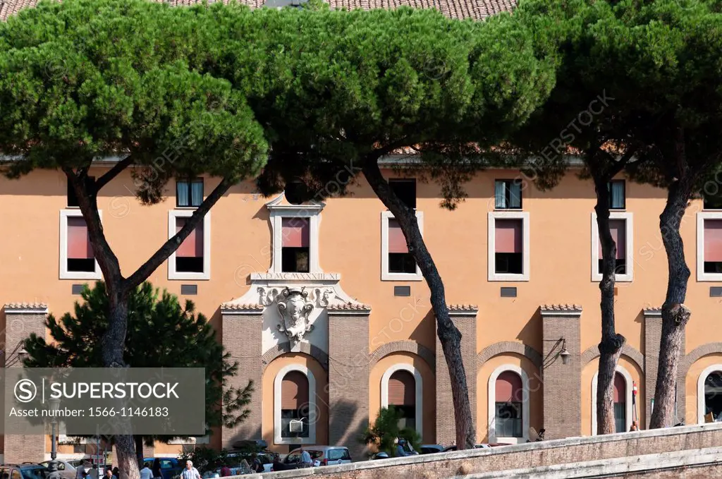 Europe, Italy, Rome  Stone Pine Pinus pinea, also called Italian Stone Pine or Umbrella Pine in front of orange building