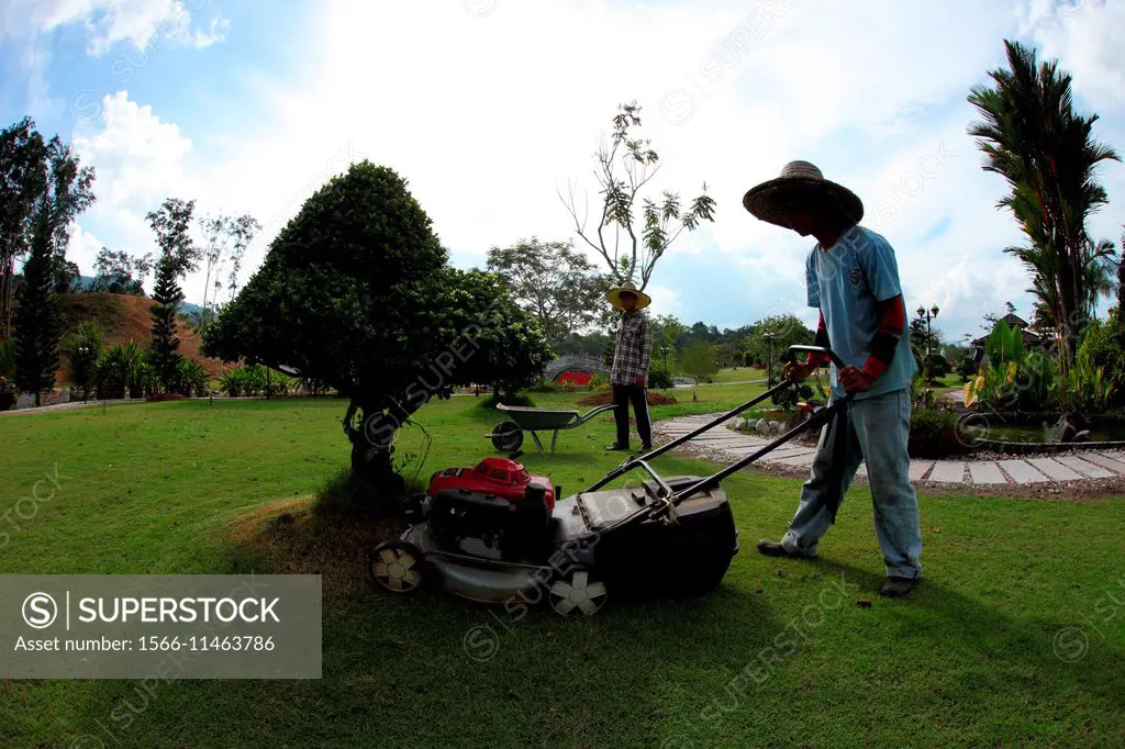 Man mowing lawn with push mower