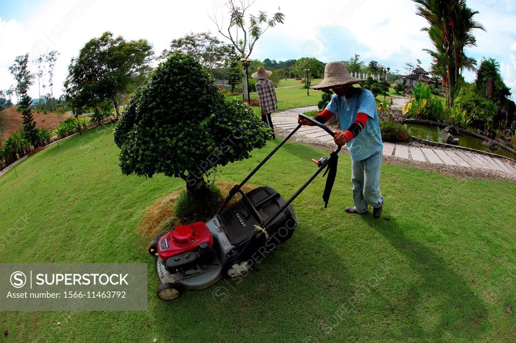 Man mowing lawn with push mower