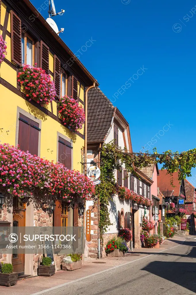 Charming traditional houses in Itterswiller, Alsace, France, Europe