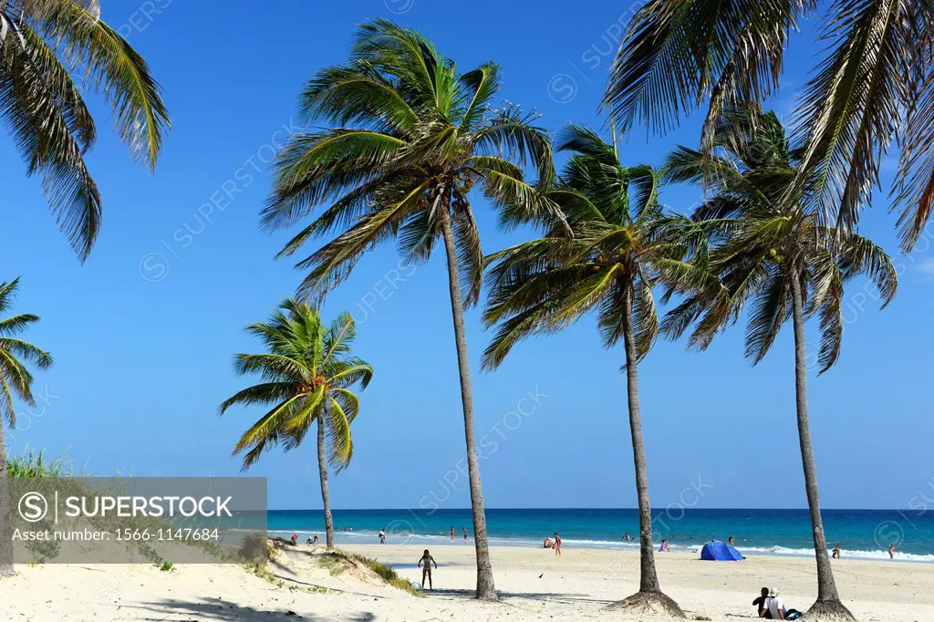 Beach with palm trees at Maria la Gorda,Playas del Este,near Havana,Cuba
