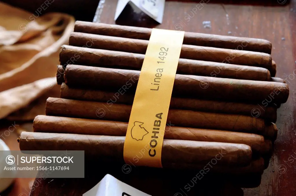 Cigar cohiba in Cuba