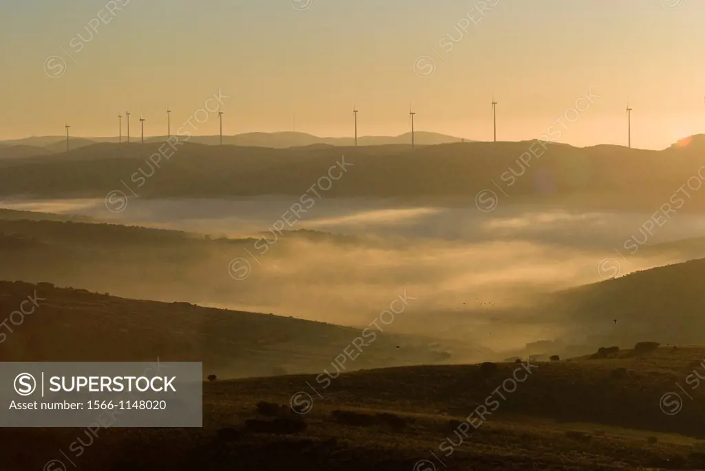 Sunrise at a wind farm