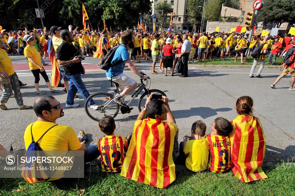 Political demonstration for the independence of Catalonia, September 11 2014, Barcelona, Catalonia, Spain.