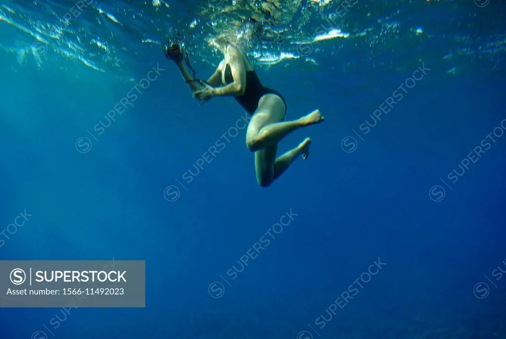 snorkeling in Red Sea at Safaga, Egypt, Africa.