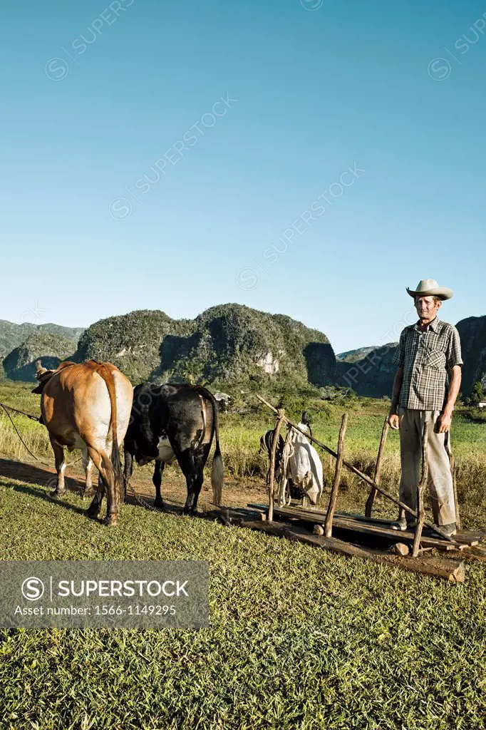 Farmers, Viñales Valley, Pinar del Río province, Cuba.