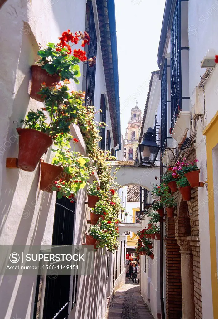 Calle de las Flores. Cordoba, Andalucia, Spain.