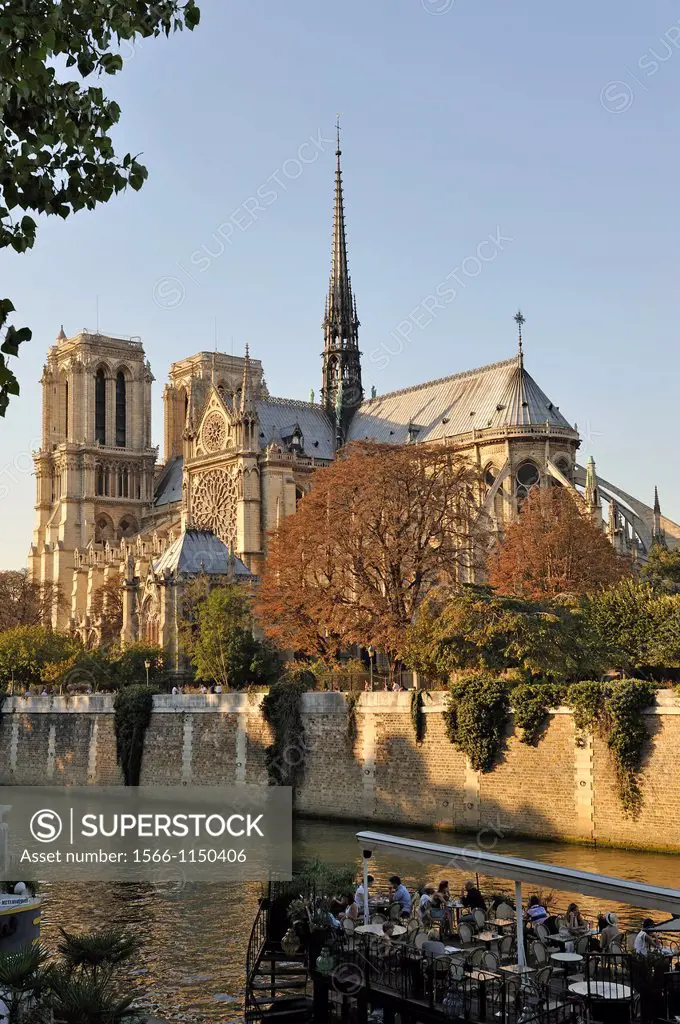 Notre Dame Cathedral, Ile de la Cite, Paris, Ile-de-France region, France, Europe