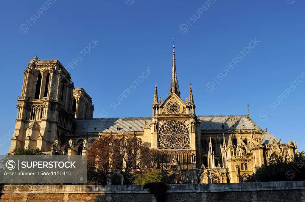 south view of the Notre Dame Cathedral, Ile de la Cite, Paris, Ile-de-France region, France, Europe