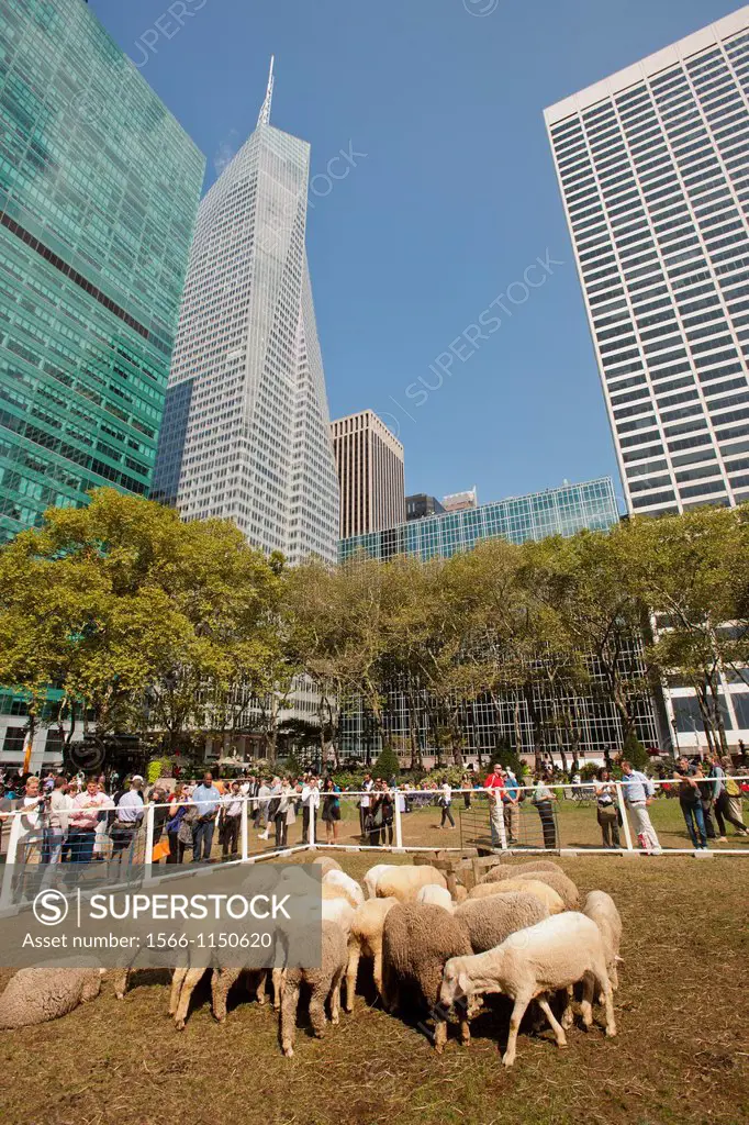 As part of ´Wool Uncovered´ a flock of sheep hang out in Bryant Park in New York The sheep and the accompanying installation are part of the ´Campaign...