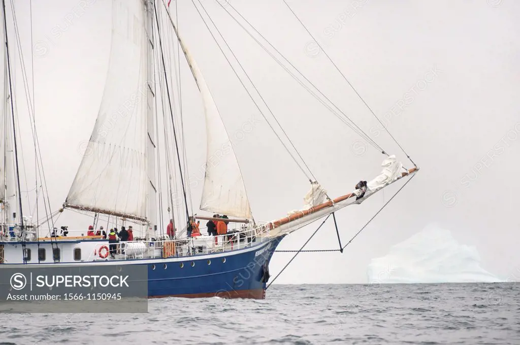 Greenland, Melville Bay, Cape York, Schooner Rembrandt Van Rijn cruising along a 50 m high iceberg