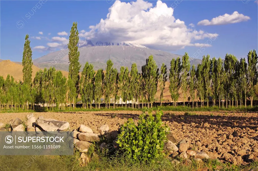 Asagi Dagi , the Mount Ararat (5137 m.) where for the Christian tradition Noah´s ark should have landed; view from Igdir side, Turkey