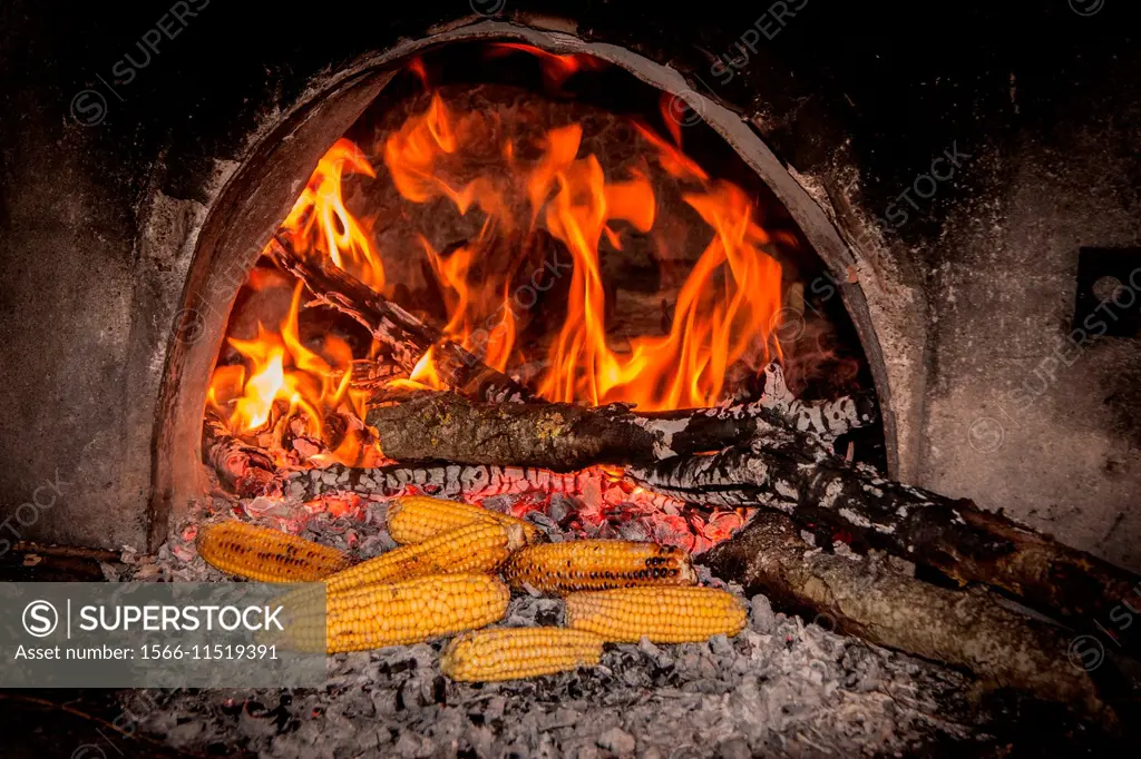 Crilled corn in a traditional wood oven. Pournaria village, Arcadia, Peloponnese, Greece.