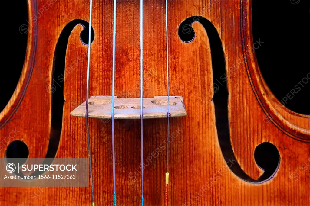 Detail of violin