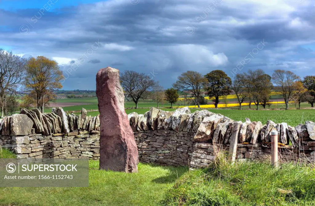 Pictish carved stone, Aberlemno, Angus, Scotland, UK