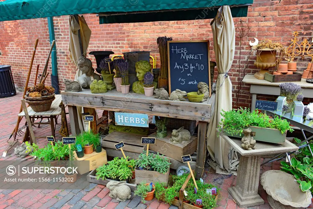 Herb organic market in The Historic Distillery District and St Lawrence shopping Market on Market Street Toronto Ontario Canada