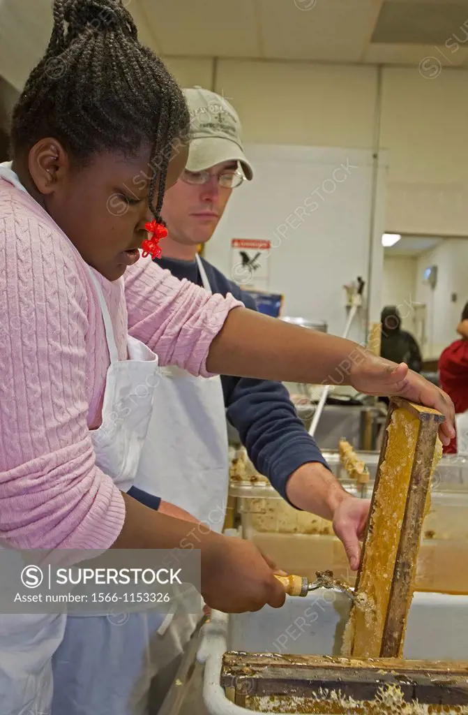 Detroit, Michigan - A girl joins other volunteers in extracting honey at Earthworks Urban Farm, a program of the Capuchin Soup Kitchen