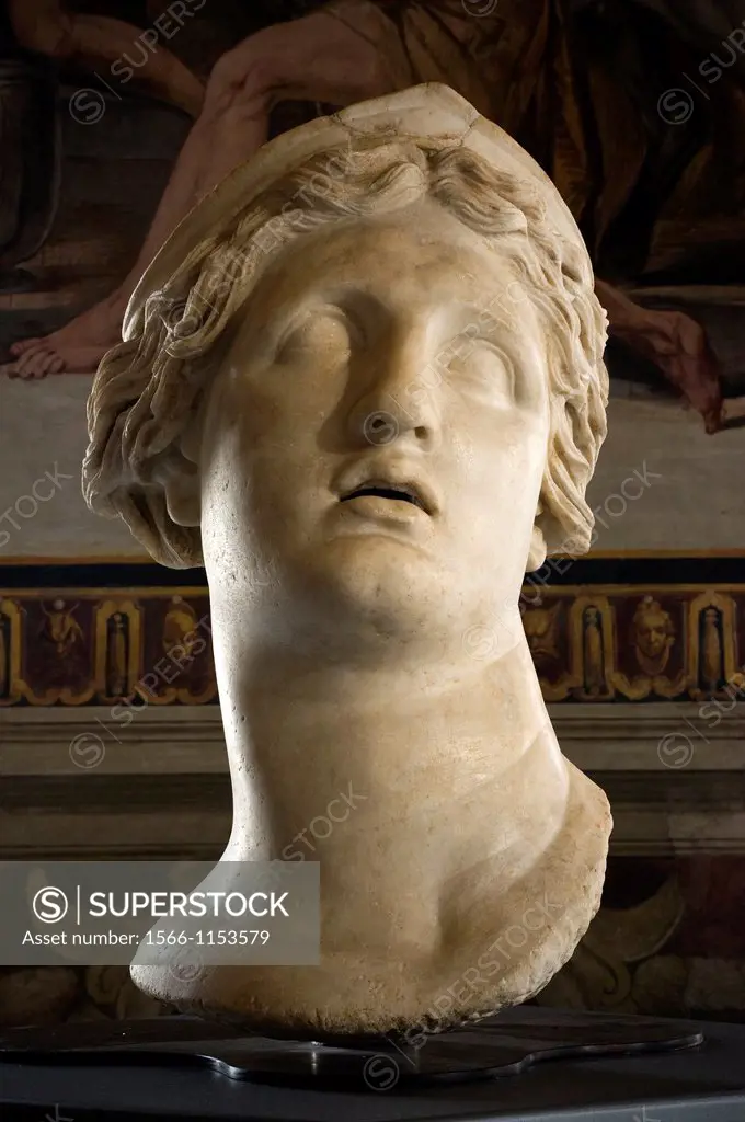 Colossal Head of Female Divinity, from Museo di Antichità of Turin, exposed to the Capitoline Museums  Rome, Italy