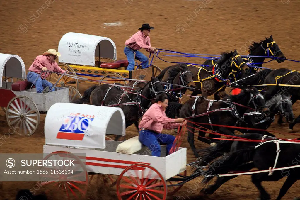 Chuck Wagon Racing - Houston Rodeo - Houston, TX.