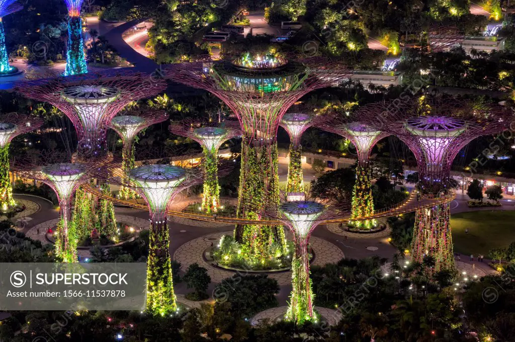 Gardens by the Bay at night, Singapore.