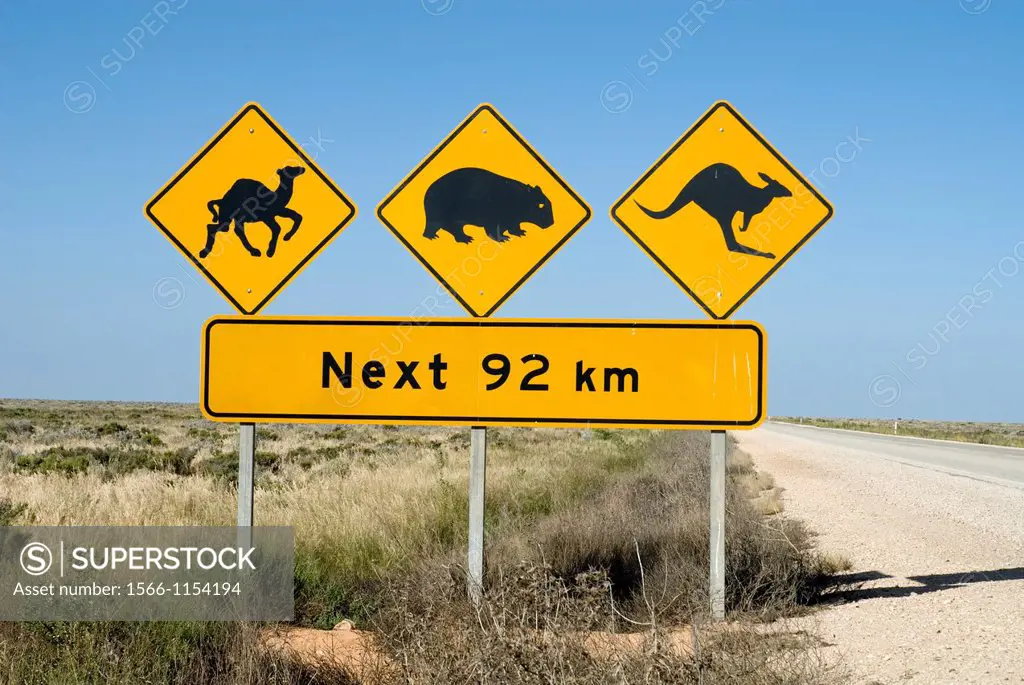 Road sign on the Eyre Highway near the W A  border warns of stray feral camels, kangaroos and wombats  Nullarbor Plain, South Australia