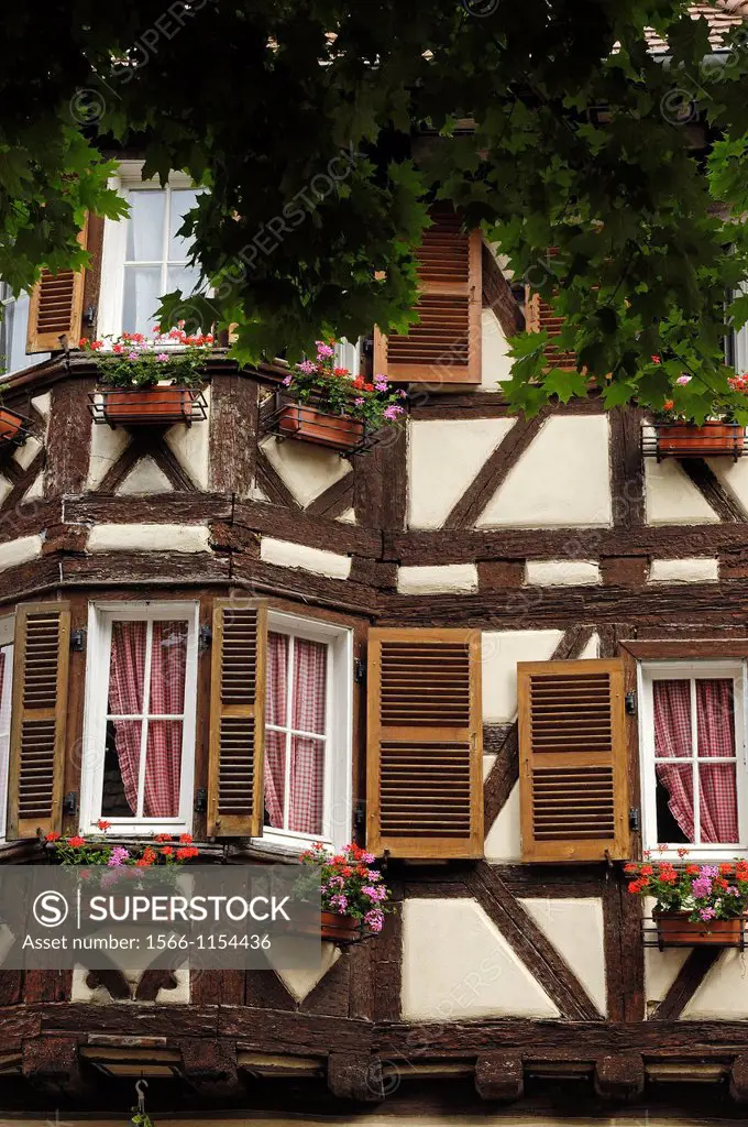 Eguisheim, Alsace Wine Route, Haut-Rhin, Alsace, France, Europe