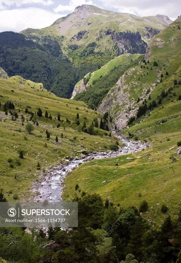 Ara River - Bujaruelo Valley - Sobrarbe - Huesca Province - Aragon Pyrenees - Aragon - Spain - Europe