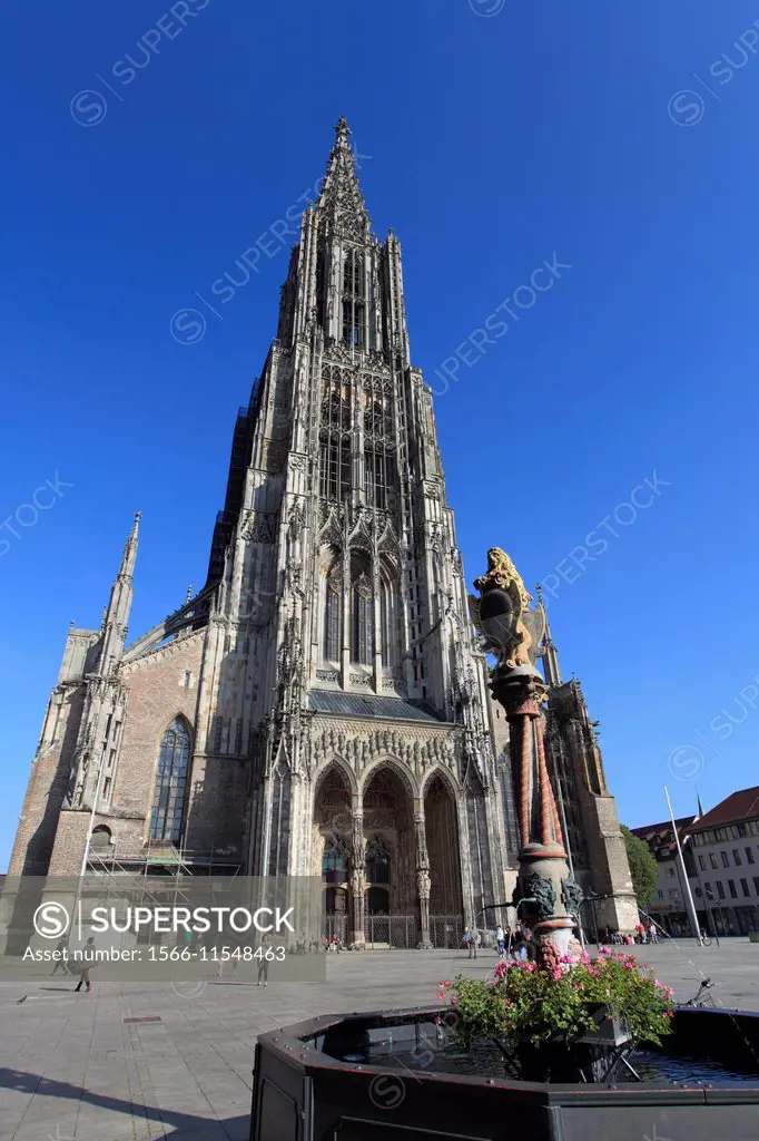 Germany, Baden-Württemberg, Ulm, Cathedral, Münster.