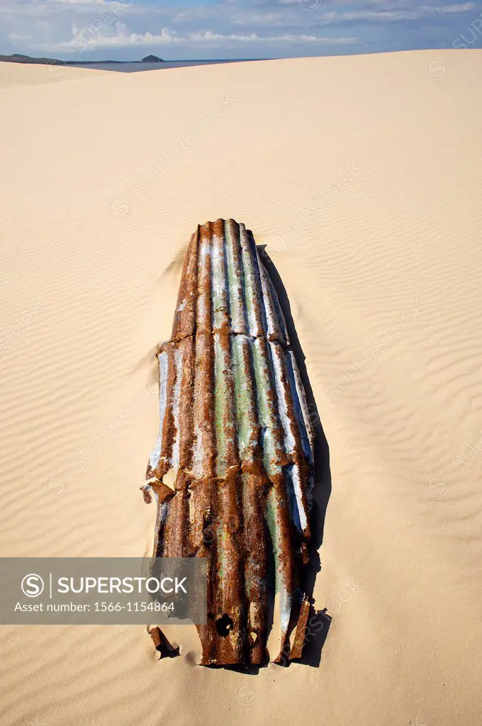 rusted corrugated iron on coastal dune