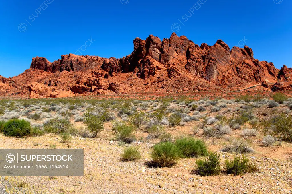 The Valley of Fire derives its name from red sandstone formations, formed from great shifting sand dunes durind the age of dinosaurs, 150 million year...