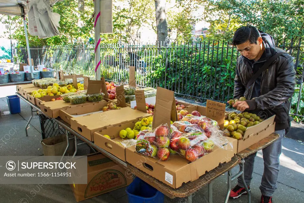New York City, NY, USA, Male Clerk Working at Food Stalls, Fresh, Local Fruit, Farmer´s Market, in Greenwich Village, ´Abingdon Square´