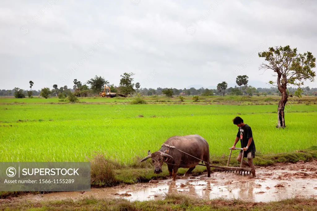 farmers working in the field