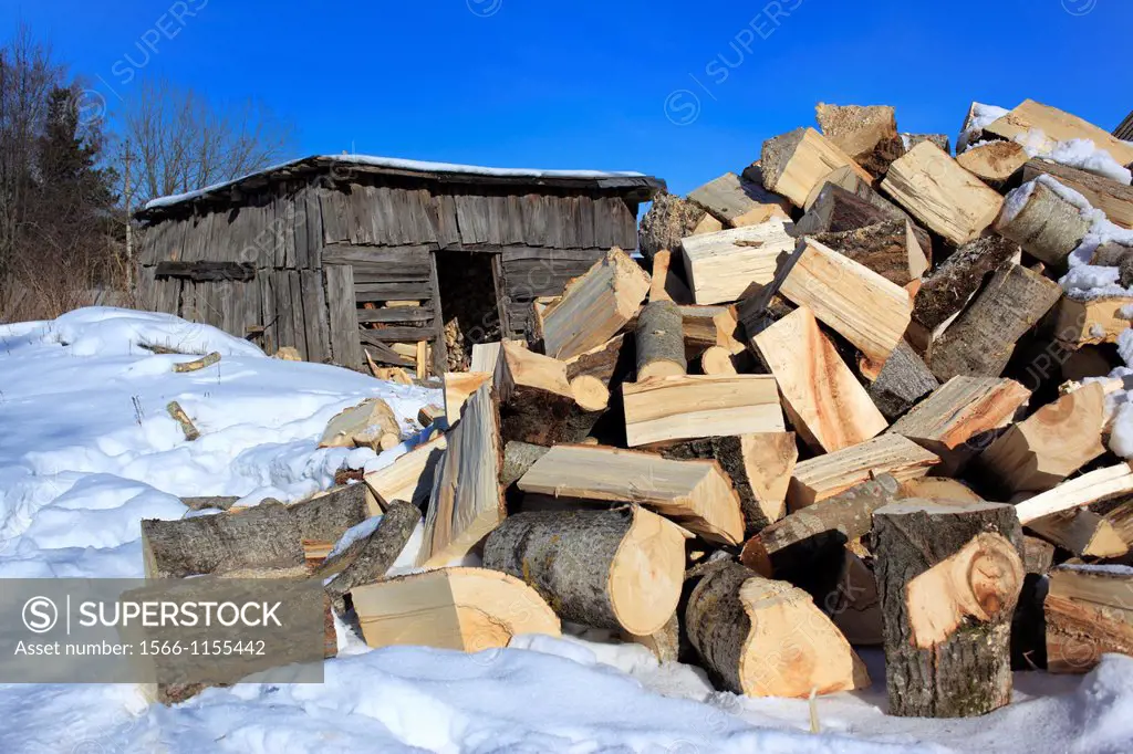 Barn and firewood, winter, Veliky Novgorod, Novgorod region, Russia