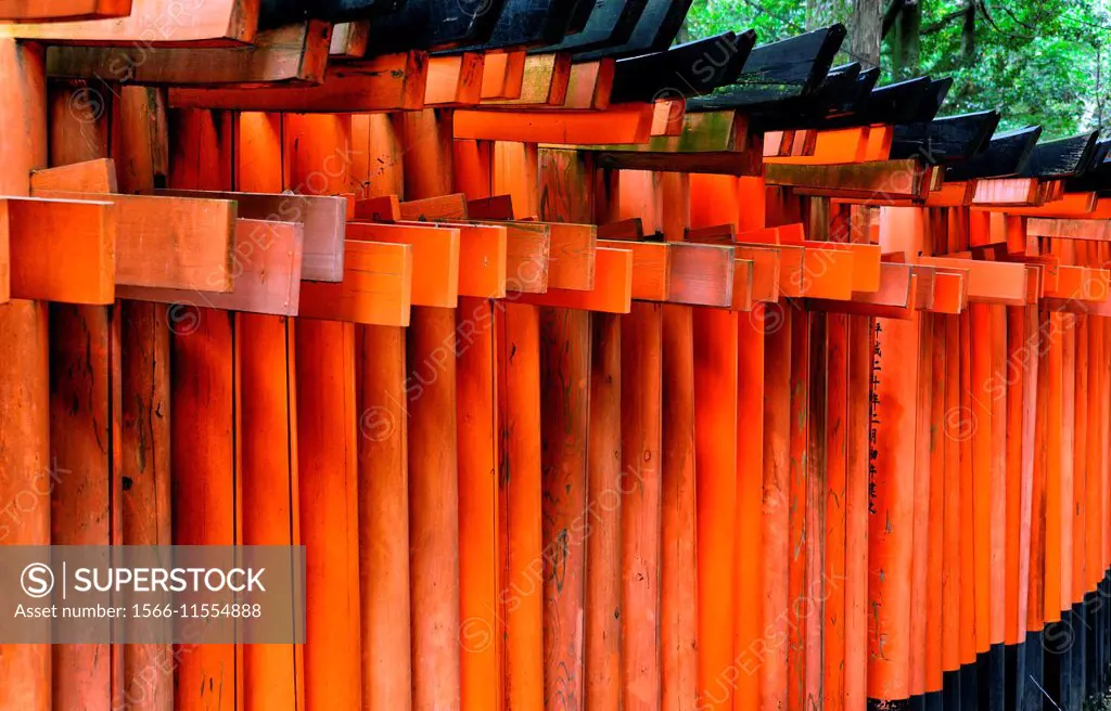 Torii gates in a row creating a long path, Fushimi Inari-taisha Shrine, head shrine of Inari located in Fushimi-ku, Kyoto, Kansai Region, Japan.