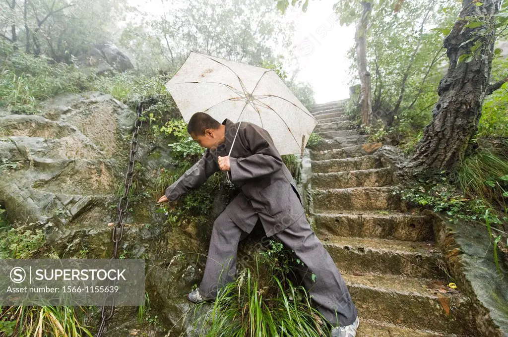 Shaolin Monk Shi De Jian examining vegetation at the San Huang Zhai Monastery on the Song Mountain, China