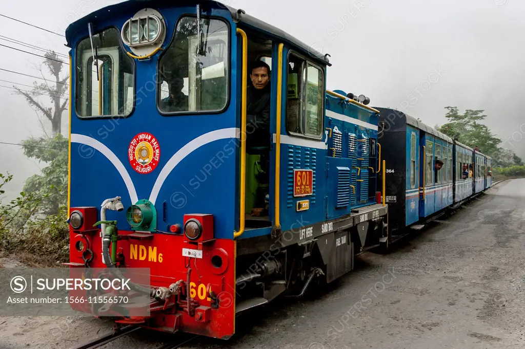 The Darjeeling Himalayan Railway (aka The Toy Train) Near Darjeeling, West Bengal, India.