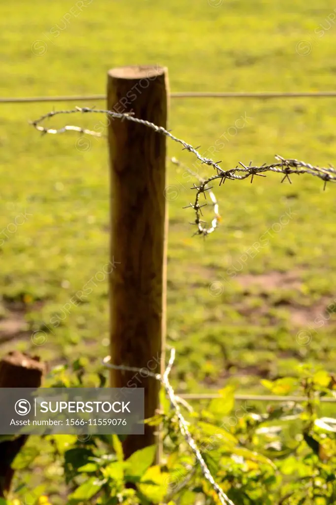 Paddock fence post with barbed wire. Shot in the Limburg province of the Netherlands.