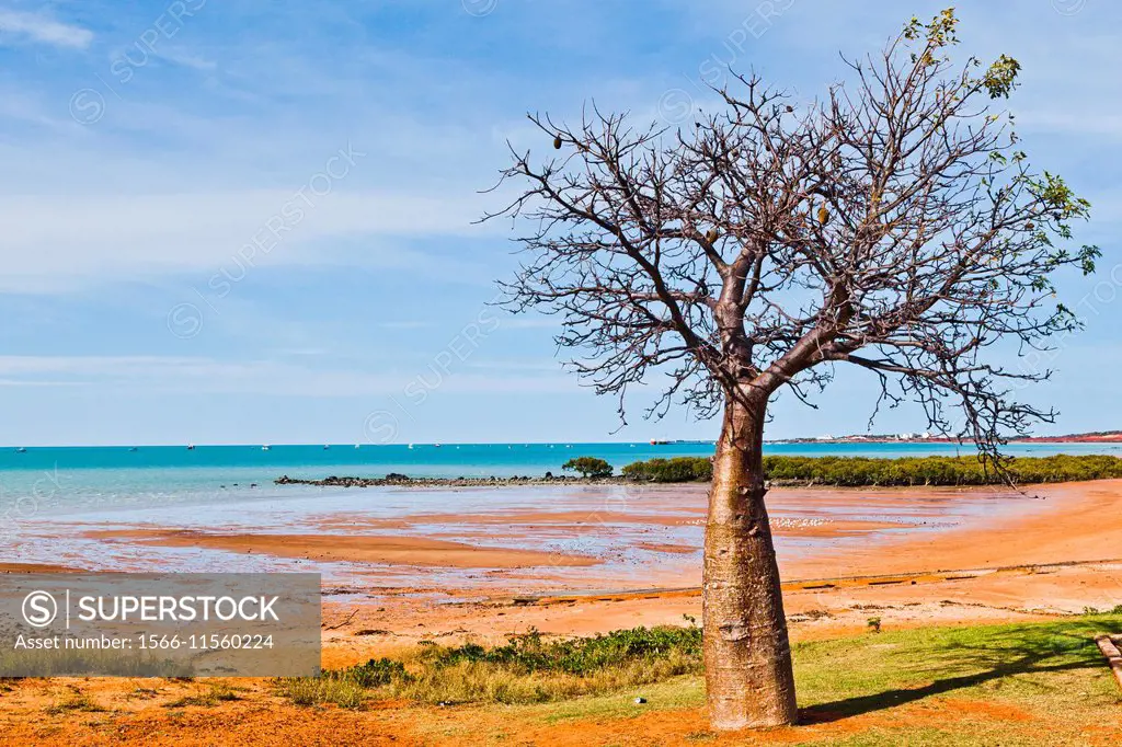 Western Australia, Broome, Roebuck Bay, view of the tropical marine embayment