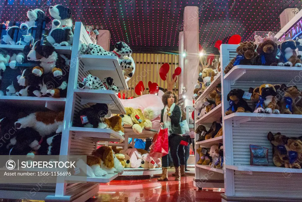 New York, People Shopping, Fifth Avenue, 59th Streets, FAO Schwartz Toy Store, Manhattan