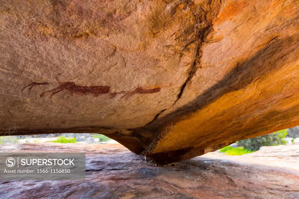 Balancing boulder, Sevilla Bushman Rock Art Trail, Clanwilliam, Cederberg Mountains, Western Cape province, South Africa, Africa