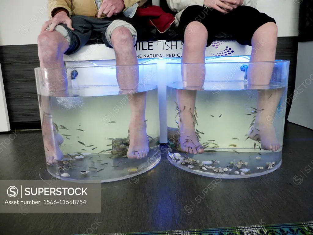 Fish pedicure treatment at a spa, Stockholm, Sweden