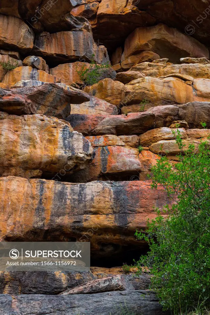 Sevilla Bushman Rock Art Trail, Clanwilliam, Cederberg Mountains, Western Cape province, South Africa, Africa