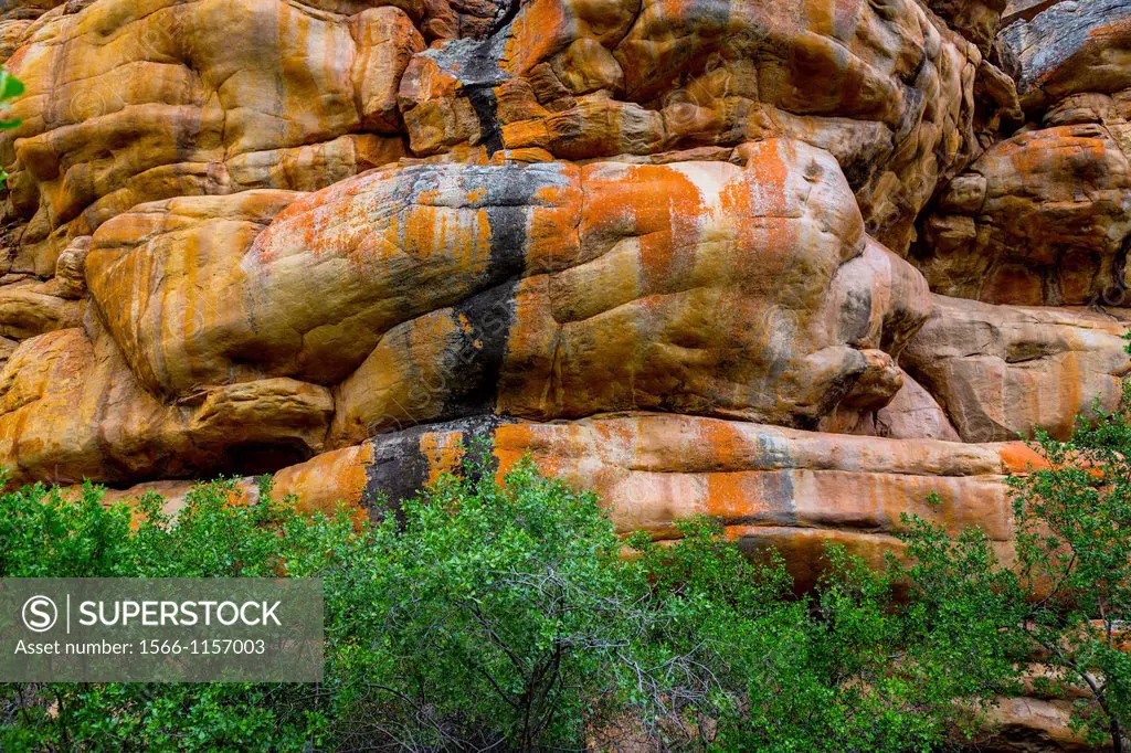 Sevilla Bushman Rock Art Trail, Clanwilliam, Cederberg Mountains, Western Cape province, South Africa, Africa