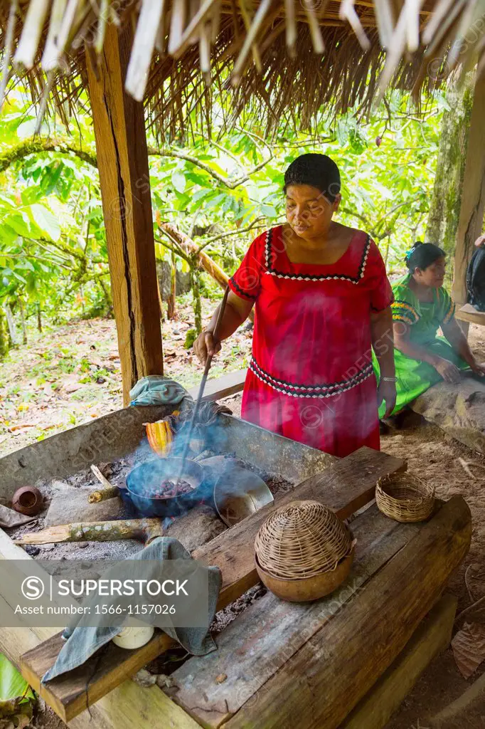 Roasting cacao beans, Oreba organic cacao, Oeste Arriba River, Ngabe Ethnic Group, Bocas del Toro Province, Panama, Central America, America