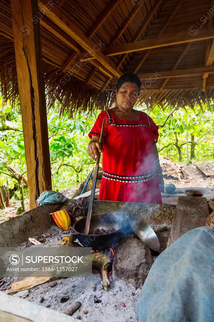 Roasting cacao beans, Oreba organic cacao, Oeste Arriba River, Ngabe Ethnic Group, Bocas del Toro Province, Panama, Central America, America