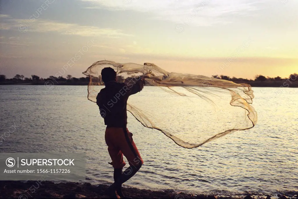 Fisherman casting a net into the Chari river, around N´djamena, Chad, Central Africa