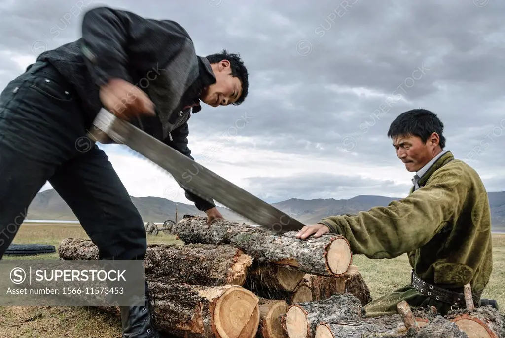 Men cutting wood for winter, Tsagaan Nuur. Mongolia.